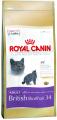  Royal Canin British Shorthair 34   2